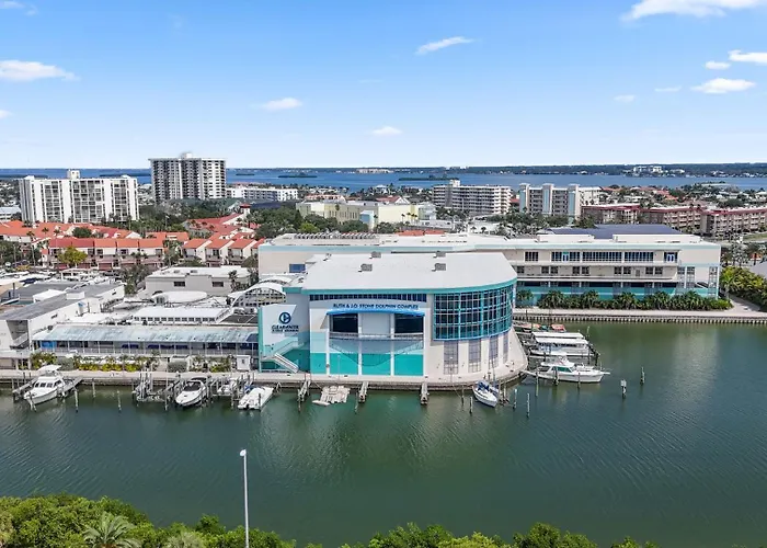 Clearwater Pelican 2